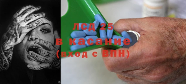 стаф Бородино