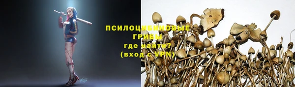 тгк Бугульма