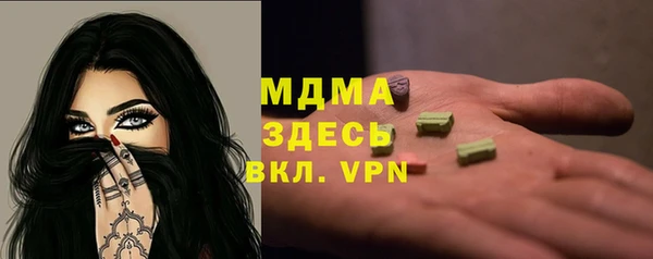 стаф Бородино