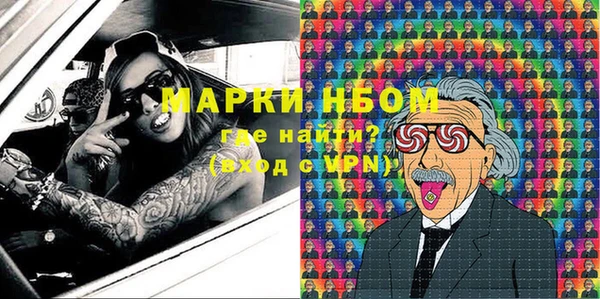 стаф Бородино