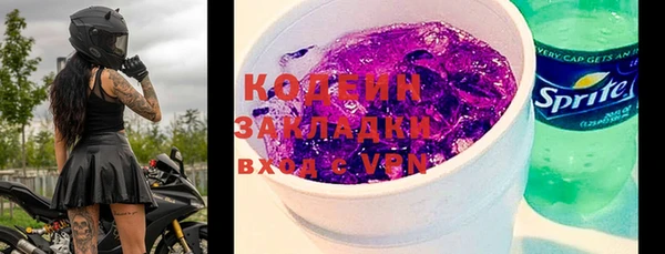стаф Бородино