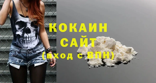 стаф Бородино