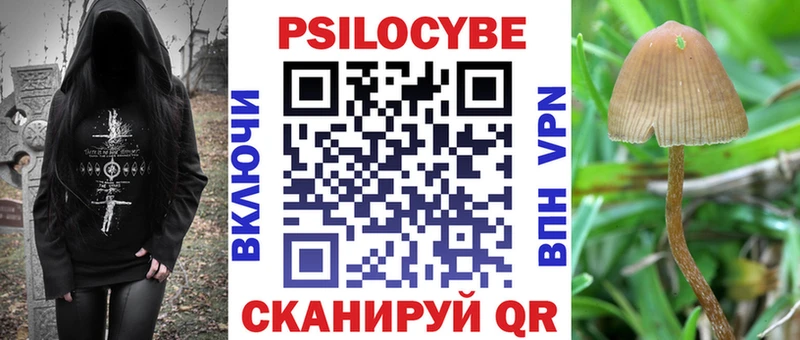 Псилоцибиновые грибы Cubensis  Купить где  Переславль-Залесский 